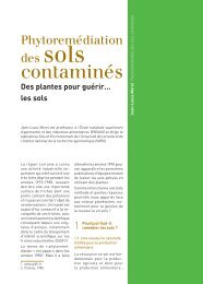 Phytoremédiation des sols (PDF - 1621 Ko) - Mediachimie.org