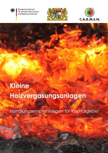 Kleine Holzvergasungsanlagen - Handlungsempfehlungen ... - Bayern