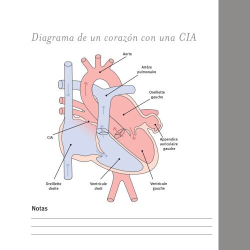 ASD Patient Booklet GSO - Gore Medical