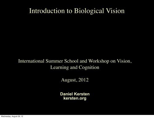 Lecture 1: Introduction to Biological Vision - Vision Research ...