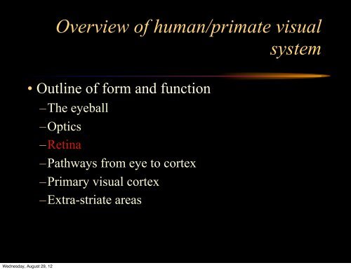 Lecture 1: Introduction to Biological Vision - Vision Research ...