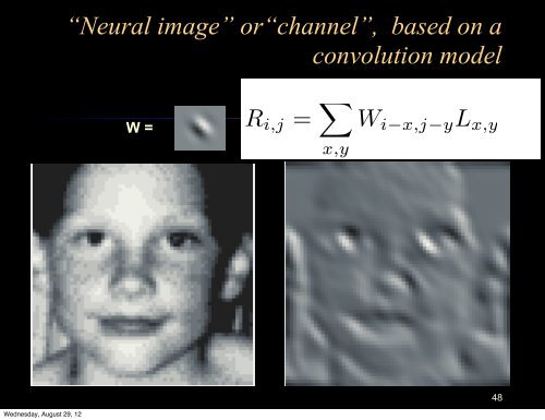 Lecture 1: Introduction to Biological Vision - Vision Research ...