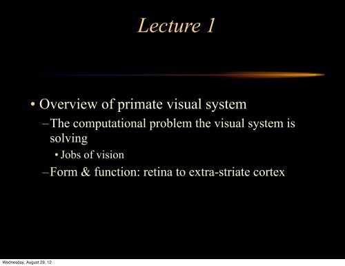 Lecture 1: Introduction to Biological Vision - Vision Research ...