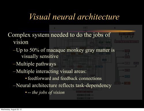 Lecture 1: Introduction to Biological Vision - Vision Research ...