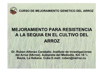 mejoramiento para resistencia a la sequia en el cultivo del arroz