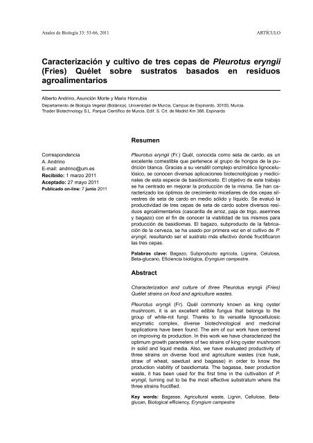 Caracterización y cultivo de tres cepas de Pleurotus eryngii (Fries ...