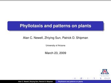 Phyllotaxis and patterns on plants