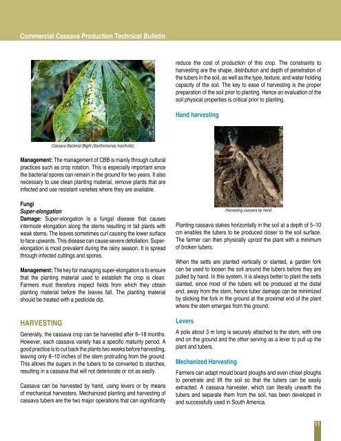 Commercial-Cassava-Production-Technical_Bulletin-Final