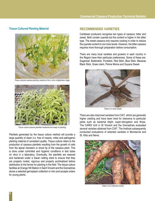 Commercial-Cassava-Production-Technical_Bulletin-Final