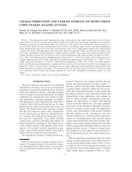 characterization and cooled storage of semen from corn ... - BioOne