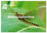 Makrozoobenthos - Naturschutz.ch