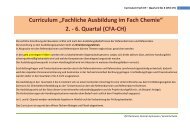 Curriculum Ã¢Â€ÂžFachliche Ausbildung im Fach ChemieÃ¢Â€Âœ 2. - 6. Quartal ...