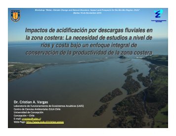 Impactos de acidificaciÃ³n por descargas fluviales en la zona ... - EULA