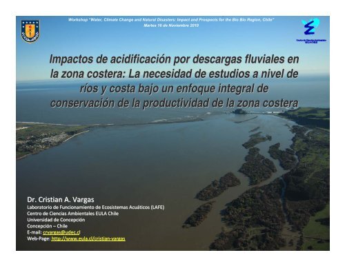 Impactos de acidificaciÃ³n por descargas fluviales en la zona ... - EULA