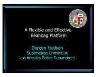 A Flexible and Effective Beanbag Platform Doreen Hudson