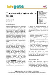 Transformation artisanale du bissap - GATE International