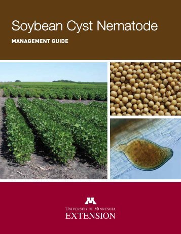 Soybean Cyst Nematode Soybean Cyst Nematode - University of ...