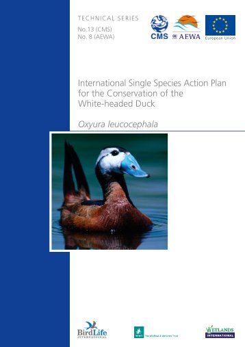 International Single Species Action Plan for the Conservation - AEWA