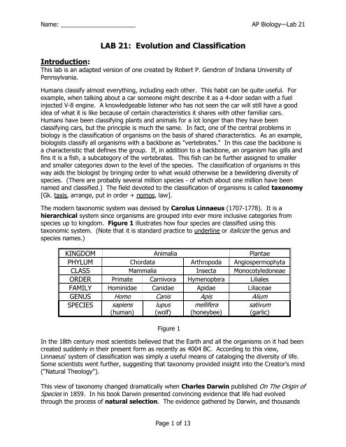 LAB 21: Evolution and Classification