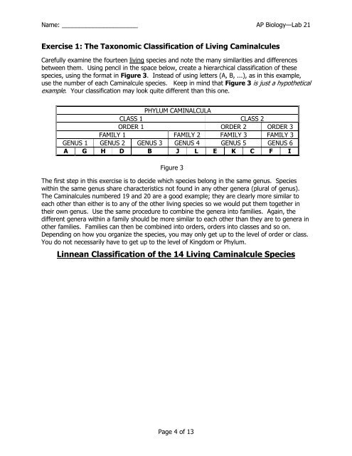 LAB 21: Evolution and Classification