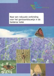 Naar een robuuste verbinding voor het ... - Vlindernet