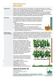 Future Plants By Randy Stewart Barberry