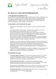AGUA Y SALES MINERALES - BiologÃ­a El Valle
