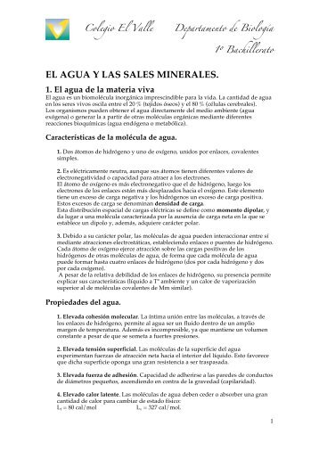 AGUA Y SALES MINERALES - BiologÃ­a El Valle