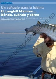 El Longbill Minnowâ¦ DÃ³nde, cuÃ¡ndo y cÃ³mo - Solopescaonline.es