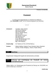 Gemeinderatssitzung vom 20.08.2008 (95 KB) - .PDF - Ehenbichl