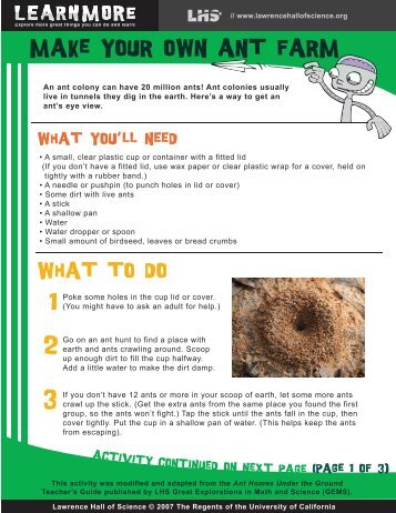 Make your own ant farm - Lawrence Hall of Science