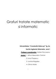 Grafuri tratate matematic si informatic - Runceanu