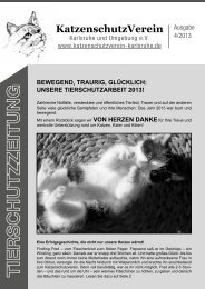 Ausgabe 04/2013 - KatzenschutzVerein Karlsruhe und Umgebung eV