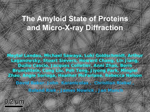 Exploring the amyloid state of proteins by micro