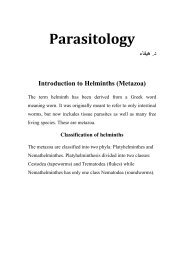 Introduction to Helminths