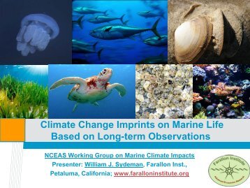 Climate Change Imprints on Marine Life Based on Long-term