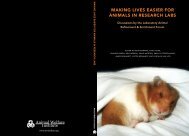 Making Lives Easier for Animals in Research Labs - Animal Welfare ...