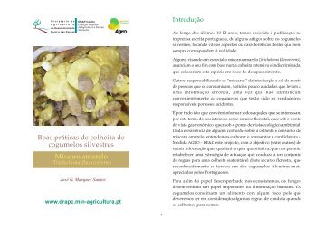 Boas prÃƒÂ¡ticas de colheita de cogumelos silvestres ... - DRAP Centro
