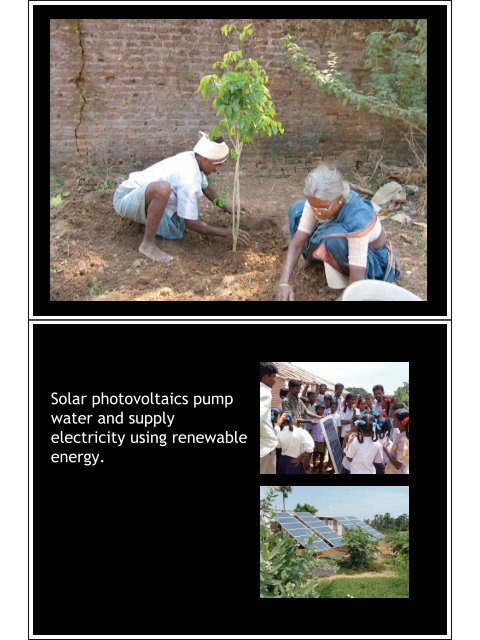 pdf, 6Mb - Auroville Green Practices