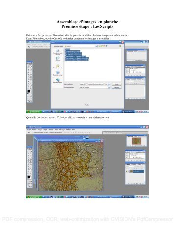 Tuto Assemblage Images Photoshop : Les Scripts - ASCOfrance