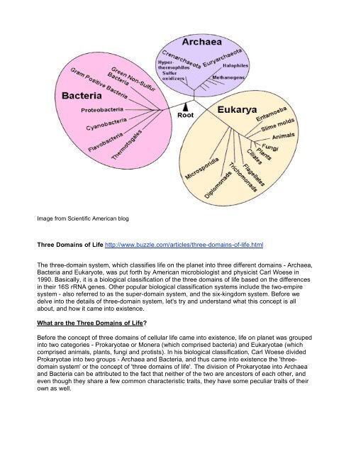 Three domains of life