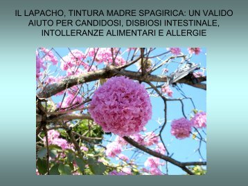 Approfondimento - Erboristeria Arcobaleno