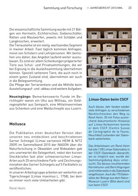 pdf (1.4 MB) - Naturmuseum Luzern