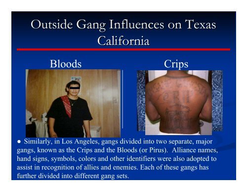 Gangs - PowerPoint.pdf