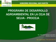 Descargar - Gobierno Regional de San MartÃ­n