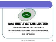 GMSL CNG Equipment (Mother/Daughter) - Gas Mint Systems Limited