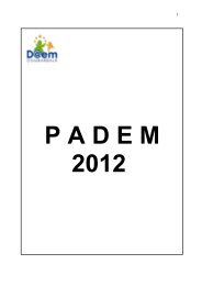PADEM 2012.pdf - Ley de Transparencia Municipalidad de ...
