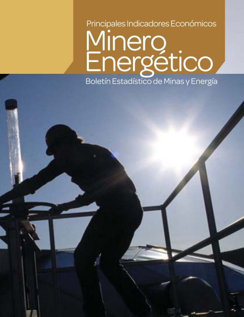 BoletÃ­n EstadÃ­stico de Minas y EnergÃ­a 2007 - 2011 - simco