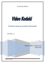 Projektna naloga pri predmetu Informatika - II. gimnazija Maribor