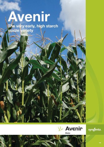 Brochure - Syngenta